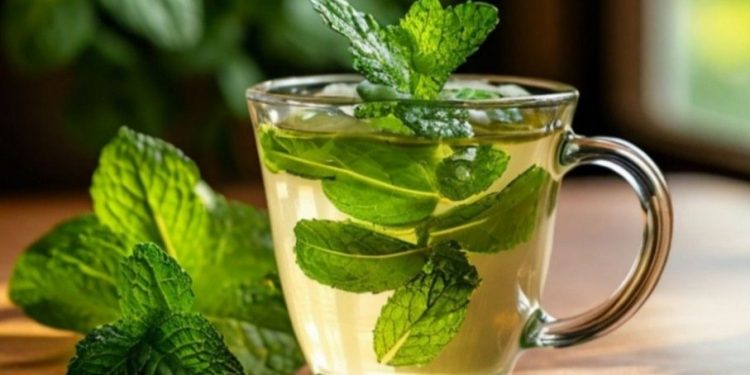 Cukup Rutinkan Konsumsi Teh Peppermint, Ini 7 Manfaat yang Ditawarkan bagi Kesehatan