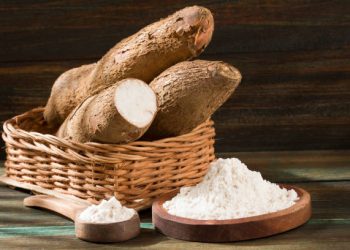 Cek Disini Efek Samping Konsumsi Singkong Berlebihan, Ada Kandungan Sianidanya!