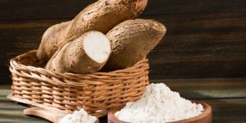 Cek Disini Efek Samping Konsumsi Singkong Berlebihan, Ada Kandungan Sianidanya!