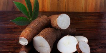 Baik untuk Dijadikan Sumber Energi Harian, Inilah Segudang Manfaat Singkong untuk Kesehatan