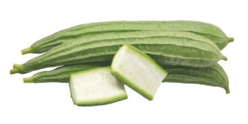 Pencernaanmu Terganggu? Coba Konsumsi Sayur Oyong, Ini Manfaatnya untuk Kesehatan