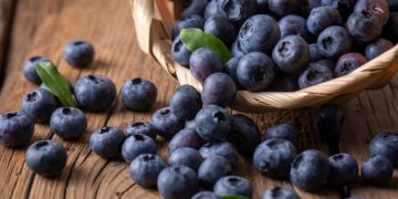 Waspada! Inilah 6 Efek Samping Mengonsumsi Blueberry Secara Berlebihan, Bikin Diare