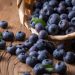 Waspada! Inilah 6 Efek Samping Mengonsumsi Blueberry Secara Berlebihan, Bikin Diare