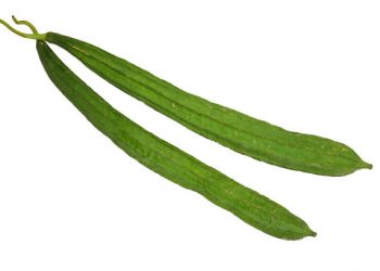 Wajib Tahu Nih Bunda! Inilah Manfaat Sayur Oyong untuk Kesehatan Anak