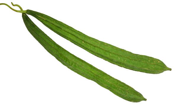 Wajib Tahu Nih Bunda! Inilah Manfaat Sayur Oyong untuk Kesehatan Anak