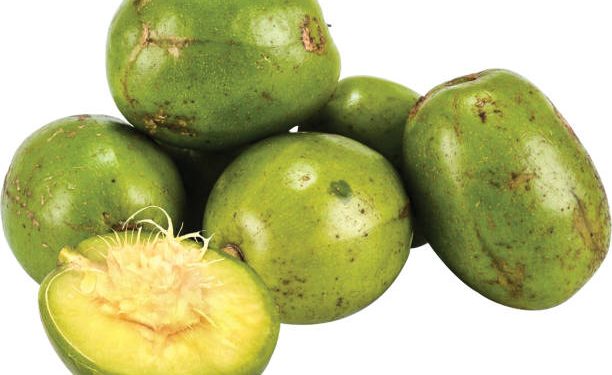 Ini Ragam Manfaat Buah Kedondong untuk Kesehatan, Salah Satunya Sebagai Obat Batuk Alami