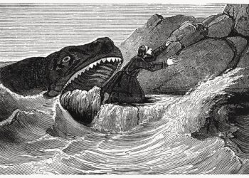 Sepenggal Kisah Nabi Yunus dan Ikan Paus, Adakah Kaitannya dengan Nabi Sulaiman?