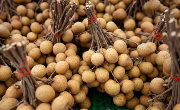 Konsumsi Buah Kelengkeng Baik untuk Atasi Insomnia, Cek Disini 4 Manfaatnya untuk Kesehatan