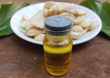 Minyak Kemiri Tawarkan 5 Manfaat Istimewa untuk Kesehatan Rambut, Salah Satunya Atasi Rambut Rontok