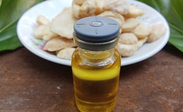 Minyak Kemiri Tawarkan 5 Manfaat Istimewa untuk Kesehatan Rambut, Salah Satunya Atasi Rambut Rontok