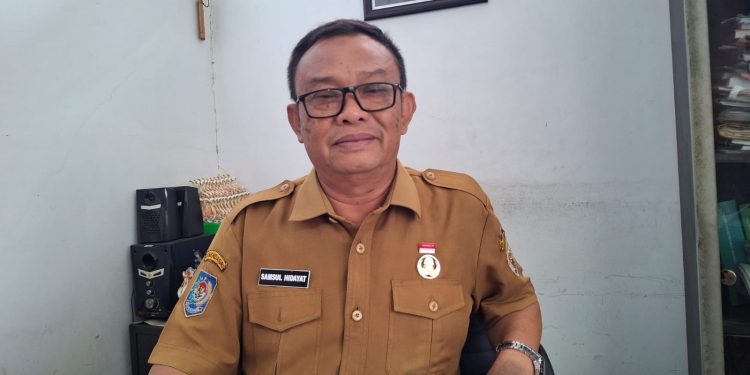 Lahan Hutan Bengkulu Terkikis 1.614 Hektare, DLHK Soroti Masalah Perambahan