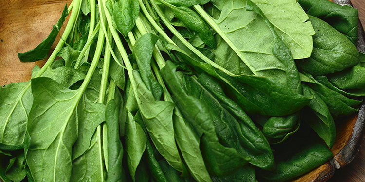 Inilah 5 Efek Samping Konsumsi Sayur Bayam Secara Berlebihan, Salah Satunya Bikin Tulang Keropos