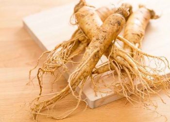 Wow, Ternyata Ini 5 Manfaat Utama Ginseng untuk Kesehatan, Cek!
