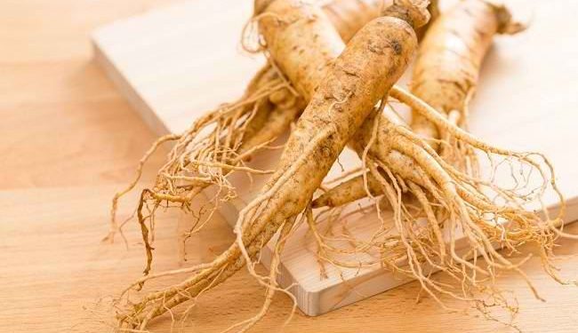 Wow, Ternyata Ini 5 Manfaat Utama Ginseng untuk Kesehatan, Cek!