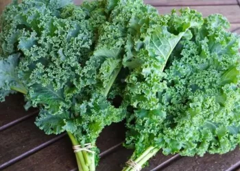 Cek Disini 3 Tawaran Manfaat Sayur Kale untuk Kecantikan Kulit, Salah Satunya Jerawat Terhempaskan