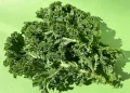 Jaga Imun Tubuh dengan Konsumsi Sayur Kale, Ini 5 Manfaatnya untuk Kesehatan