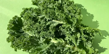 Jaga Imun Tubuh dengan Konsumsi Sayur Kale, Ini 5 Manfaatnya untuk Kesehatan