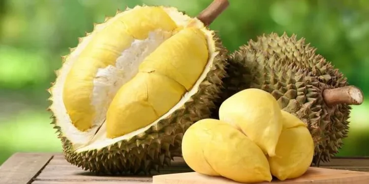 Inilah 5 Manfaat Buah Durian untuk Kesehatan, Salah Satunya Cegah Penyakit Jantung