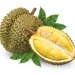 Tak Selalu Baik, Kenali 5 Efek Samping Konsumsi Buah Durian Berlebihan, Bikin Berat Badan Naik