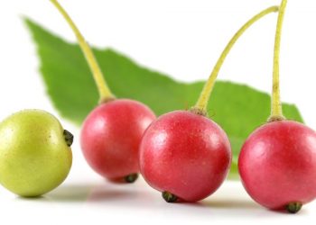 Bisa Dijadikan Masker Wajah, Ini Dia Manfaat Buah Ceri untuk Kecantikan Kulit