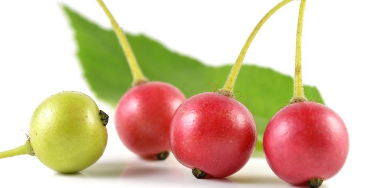 Bisa Dijadikan Masker Wajah, Ini Dia Manfaat Buah Ceri untuk Kecantikan Kulit