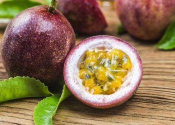 Tingkatkan Kadar Gula Darah, Ini Sederet Efek Samping Konsumsi Markisa Berlebihan