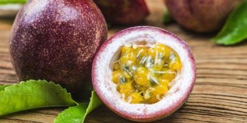 Tingkatkan Kadar Gula Darah, Ini Sederet Efek Samping Konsumsi Markisa Berlebihan