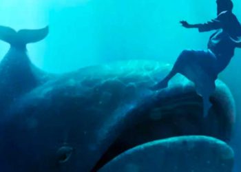 Dikatakan Akan Masuk Surga, Begini Kisah Ikan Paus yang Menelan Nabi Yunus