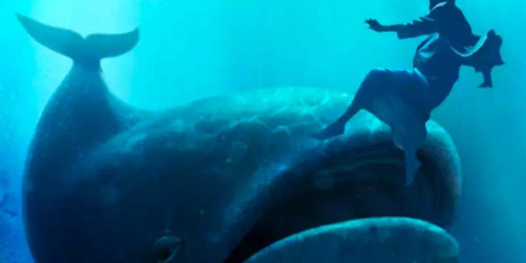 Dikatakan Akan Masuk Surga, Begini Kisah Ikan Paus yang Menelan Nabi Yunus