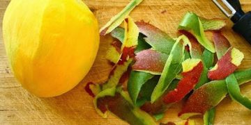 Kulit Mangga Tawarkan 6 Manfaat Utama untuk Kesehatan, Salah Satunya Atasi Menstruasi