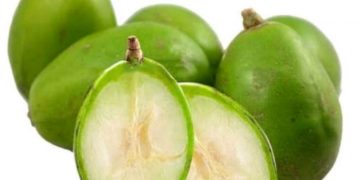 Kaya Akan Kandungan Nutrisi, Inilah Segudang Manfaat Buah Kedondong untuk Kesehatan Ibu Hamil