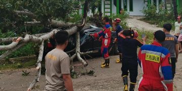 Pohon Tua di Jalan Sungai Rupat Tumbang, Mobil Avanza yang Sedang Parkir Ringsek