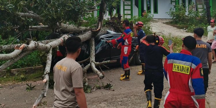 Pohon Tua di Jalan Sungai Rupat Tumbang, Mobil Avanza yang Sedang Parkir Ringsek
