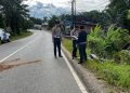 Kecelakaan Maut di Talang Dantuk Seluma, Pegawai Pengadilan Meninggal Dunia Usai Terlindas Mobil