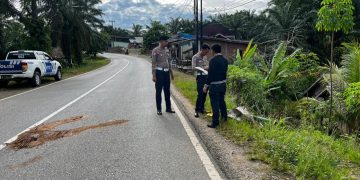 Kecelakaan Maut di Talang Dantuk Seluma, Pegawai Pengadilan Meninggal Dunia Usai Terlindas Mobil