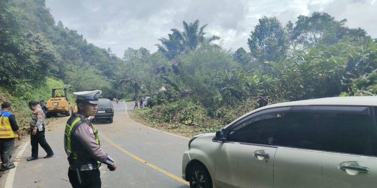 Antisipasi Cuaca Ekstrem, Satlantas Polres Kepahiang Sterilkan Jalur Lintas dari Pohon Lapuk