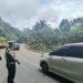 Antisipasi Cuaca Ekstrem, Satlantas Polres Kepahiang Sterilkan Jalur Lintas dari Pohon Lapuk