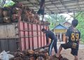 Harga Sawit Turun di Seluma, Karet Tak Kunjung Naik Jelang Ramadan