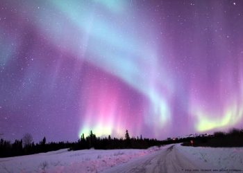 8 Rekomendasi Negara Terbaik untuk Menyaksikan Aurora Borealis