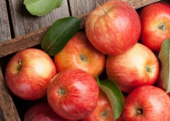 Rekomendasi Buah yang Dapat Menurunkan Kolesterol, Alami dan Aman Dikonsumsi Setiap Hari