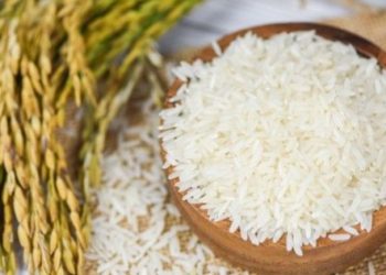 Cara Bayar Utang Puasa dengan Fidyah dalam Islam, Ini Ketentuan dan Tata Caranya