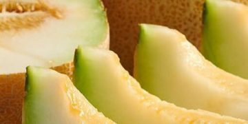 Ini 6 Manfaat Konsumsi Buah Melon bagi Tubuh, Ampuh Mendukung Sistem Kekebalan Tubuh