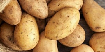 Ini Manfaat Kentang untuk Kesehatan Tubuh, Sumber Energi yang Kaya Nutrisi