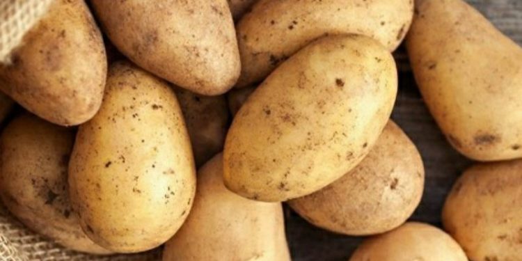 Ini Manfaat Kentang untuk Kesehatan Tubuh, Sumber Energi yang Kaya Nutrisi