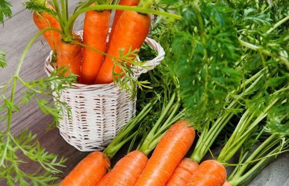 Cek 6 Manfaat Wortel Ini, Baik untuk Kesehatan Tubuh, Kamu Perlu Tahu