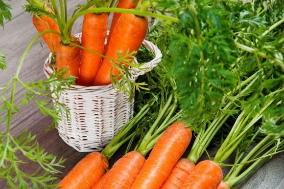 Cek 6 Manfaat Wortel Ini, Baik untuk Kesehatan Tubuh, Kamu Perlu Tahu