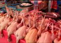 Jelang Ramadan Harga Bapok Naik, Ayam Tembus Rp45 Ribu per Kg
