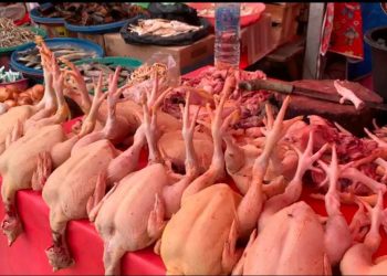 Jelang Ramadan Harga Bapok Naik, Ayam Tembus Rp45 Ribu per Kg