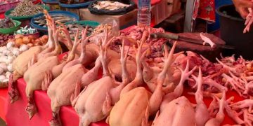 Jelang Ramadan Harga Bapok Naik, Ayam Tembus Rp45 Ribu per Kg