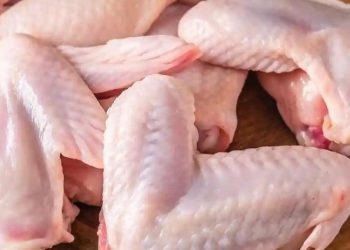 Perlu Diwaspadai, Ini 7 Efek Samping Konsumsi Ayam Berlebihan, Bisa Sebabkan Gangguan Pola Makan